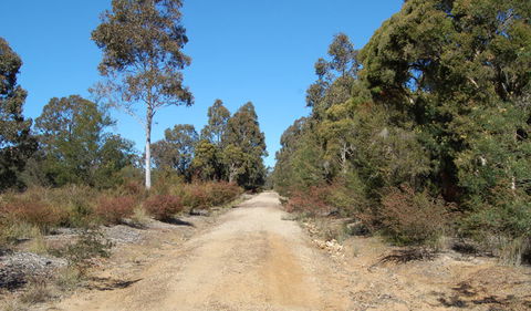Werakata National Park - Tourism Caloundra 0