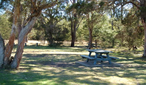 Werakata National Park - Tourism Caloundra 1