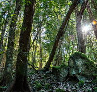 Copeland Tops State Conservation Area - Tourism Caloundra