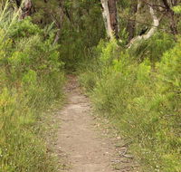 Three Views walking track - Tourism Caloundra