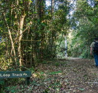 Basin Loop track - Tourism Caloundra