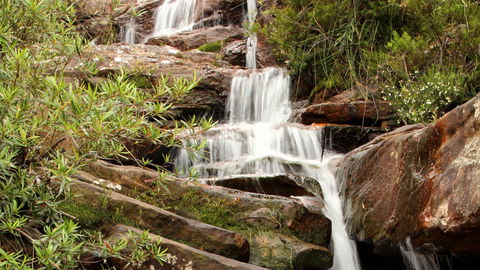 Popran National Park - Tourism Caloundra 1