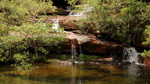 Popran National Park - Tourism Caloundra 2