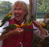 Maleny Botanic Gardens  Bird World - Tourism Caloundra