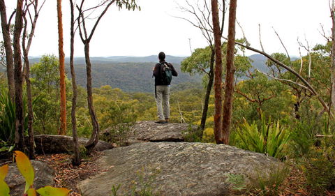 Mount Olive Lookout - Tourism Caloundra 1