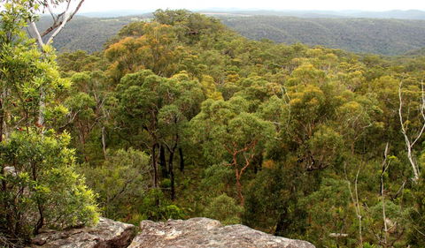 Mount Olive Lookout - Tourism Caloundra 0