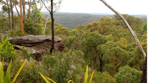 Mount Olive Lookout - Tourism Caloundra 2