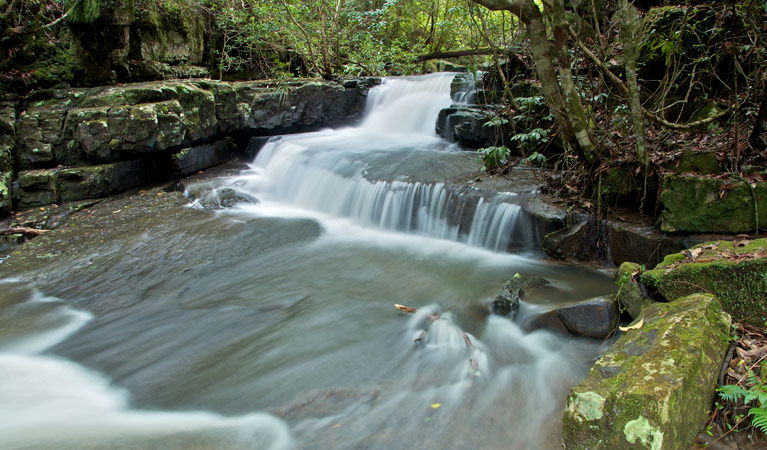 Bandon Grove NSW Tourism Caloundra