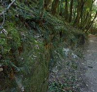 Hidden Treasure track - Tourism Caloundra