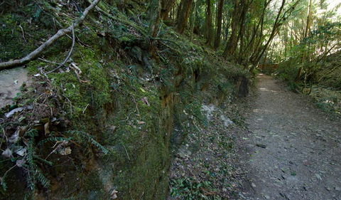 Hidden Treasure Track - Tourism Caloundra 0