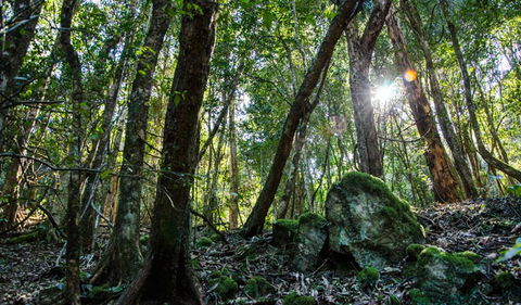 Hidden Treasure Track - Tourism Caloundra 1