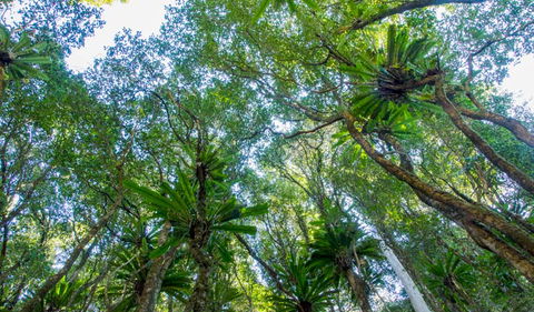 Hidden Treasure Track - Tourism Caloundra 2