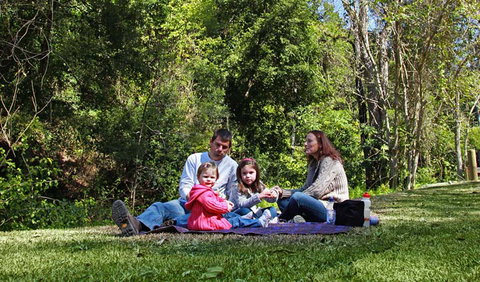 Hidden Treasure Picnic Area - Tourism Caloundra 0