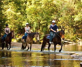 Glenworth Valley Outdoor Adventures - Tourism Caloundra 2