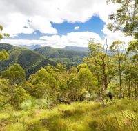 Toonumbar National Park - Tourism Caloundra