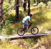 The Steps Mountain Bike Park - Tourism Caloundra