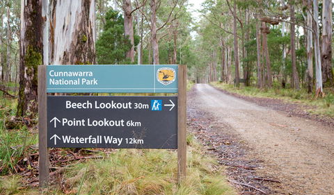 Beech Lookout - Tourism Caloundra 0
