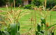 Experiment Farm Cottage - thumb 4