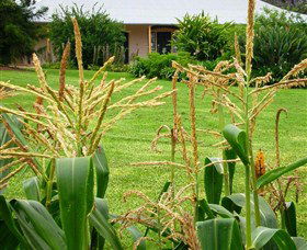 Experiment Farm Cottage - Tourism Caloundra 4