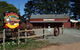 Sully's Cider At The Old Cheese Factory - thumb 0