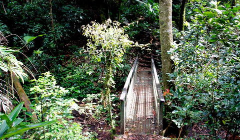 Richmond Range National Park - Tourism Caloundra 0