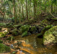 Palm Grove Nature Reserve - Tourism Caloundra