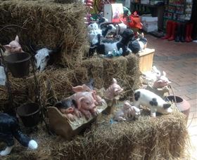 Country Elegance Gardens And Gifts - Tourism Caloundra 3
