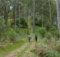 The Green Gully track - Tourism Caloundra