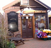 Australian Alpaca Barn - Morpeth - Tourism Caloundra