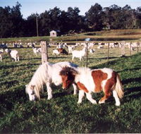 Trudgalong Farm - Tourism Caloundra
