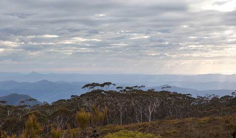 Mount Budawang Trail - Tourism Caloundra 0