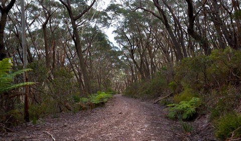 Mount Budawang Trail - Tourism Caloundra 1