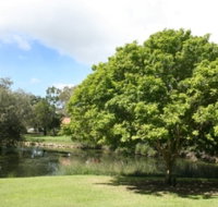 Hervey Bay Botanic Gardens - Tourism Caloundra