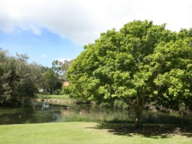 Hervey Bay Botanic Gardens - Tourism Caloundra 0