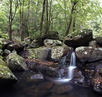Kangaroo River - Tourism Caloundra