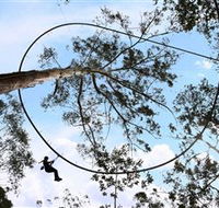 TreeTops Crazy Rider - Tourism Caloundra