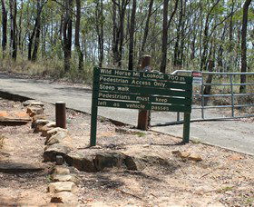 Wild Horse Mountain Lookout - Tourism Caloundra 0