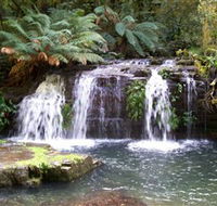 Barrington Tops National Park Walks - Tourism Caloundra