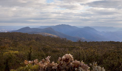 Budawang National Park - Tourism Caloundra 1