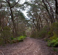 Budawang National Park - Tourism Caloundra