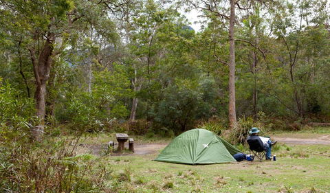 Budawang National Park - Tourism Caloundra 3