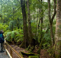 Monga National Park - Tourism Caloundra