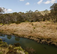 Werrikimbe National Park - Tourism Caloundra