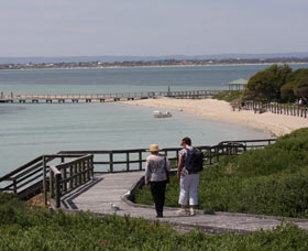 Penguin Island Boardwalks And Walk Trail - Tourism Caloundra 1