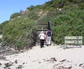 Penguin Island Boardwalks And Walk Trail - Tourism Caloundra 2