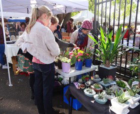 Glebe Markets - Tourism Caloundra 3