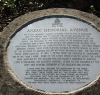 Anzac Memorial Avenue Redcliffe - Tourism Caloundra