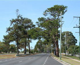 Anzac Memorial Avenue, Redcliffe - Tourism Caloundra 2