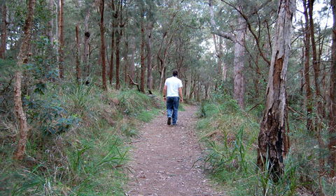 Lake Macquarie State Conservation Area - Tourism Caloundra 3