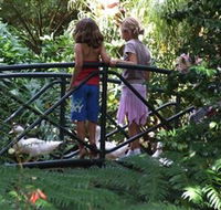 EG Waterhouse National Camellia Garden - Tourism Caloundra